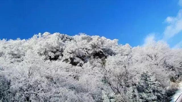 昆仑山中到底有什么，竟然会被“重兵把守”？游戏画面